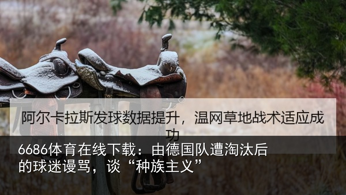 6686体育在线下载：由德国队遭淘汰后的球迷谩骂，谈“种族主义”