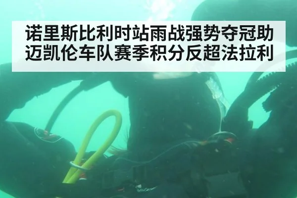 诺里斯比利时站雨战强势夺冠助迈凯伦车队赛季积分反超法拉利
