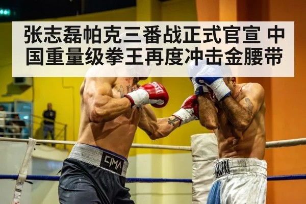 Chinese heavyweight boxer training